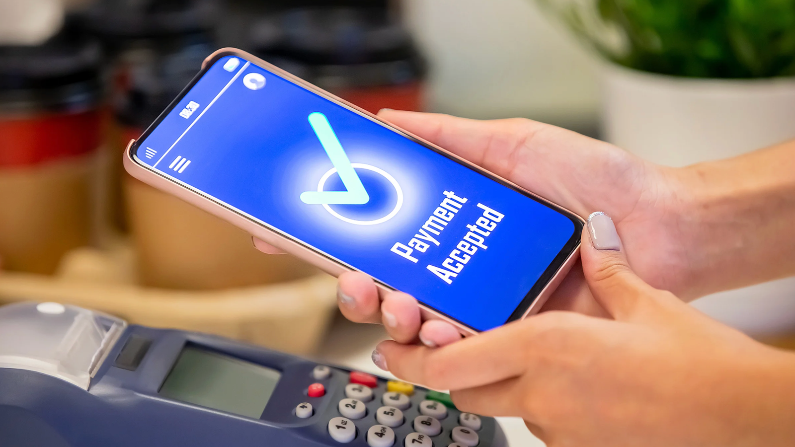 Development Category