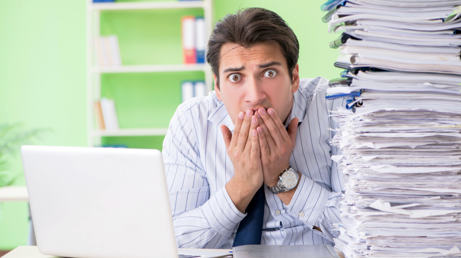 Development Category