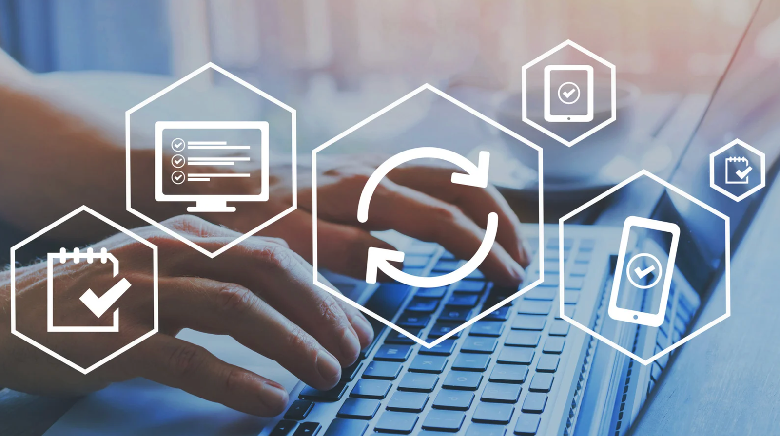 Development Category